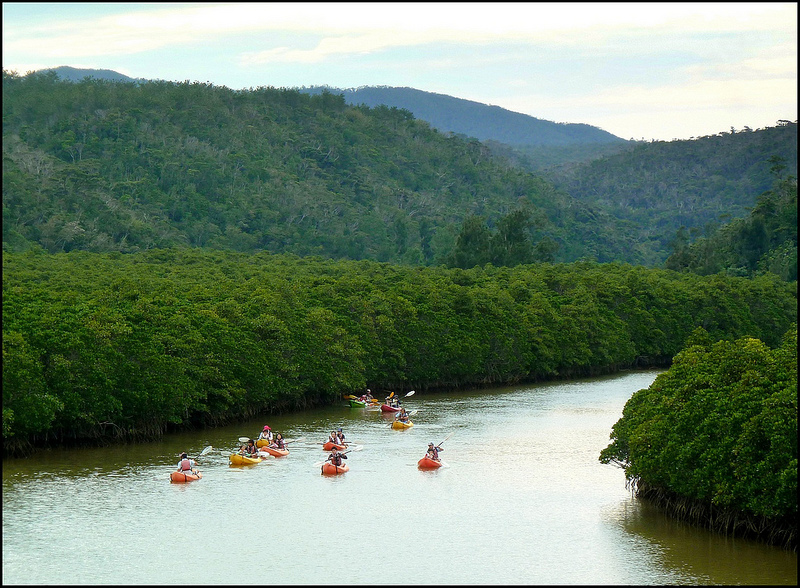 Mangroves of Okinawa kayak journey 2