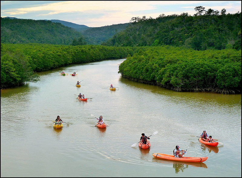 Returning to the Mouth of GESASHI RIVER After a Day of Adventure Taken about 4 PM with clouds overhead on nice day in May. Here you have the last Mangrove exploring group of the day bringing in their Kayaks. Soon, they will be making the drive home (or to their hotel), and, after a good meal, kick back for the evening while giving their tired arms a good rest ~ !.