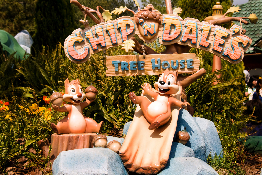 Tokyo Disneyland Chip n Dale