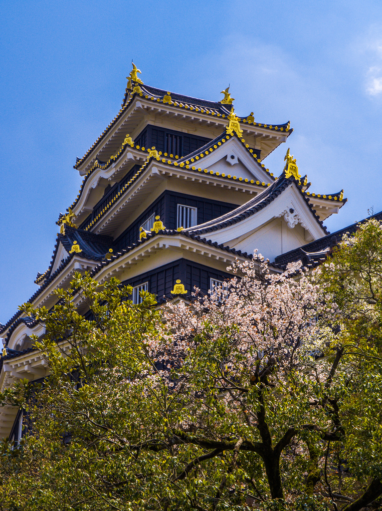 Okayama 'Black Crow' Castle