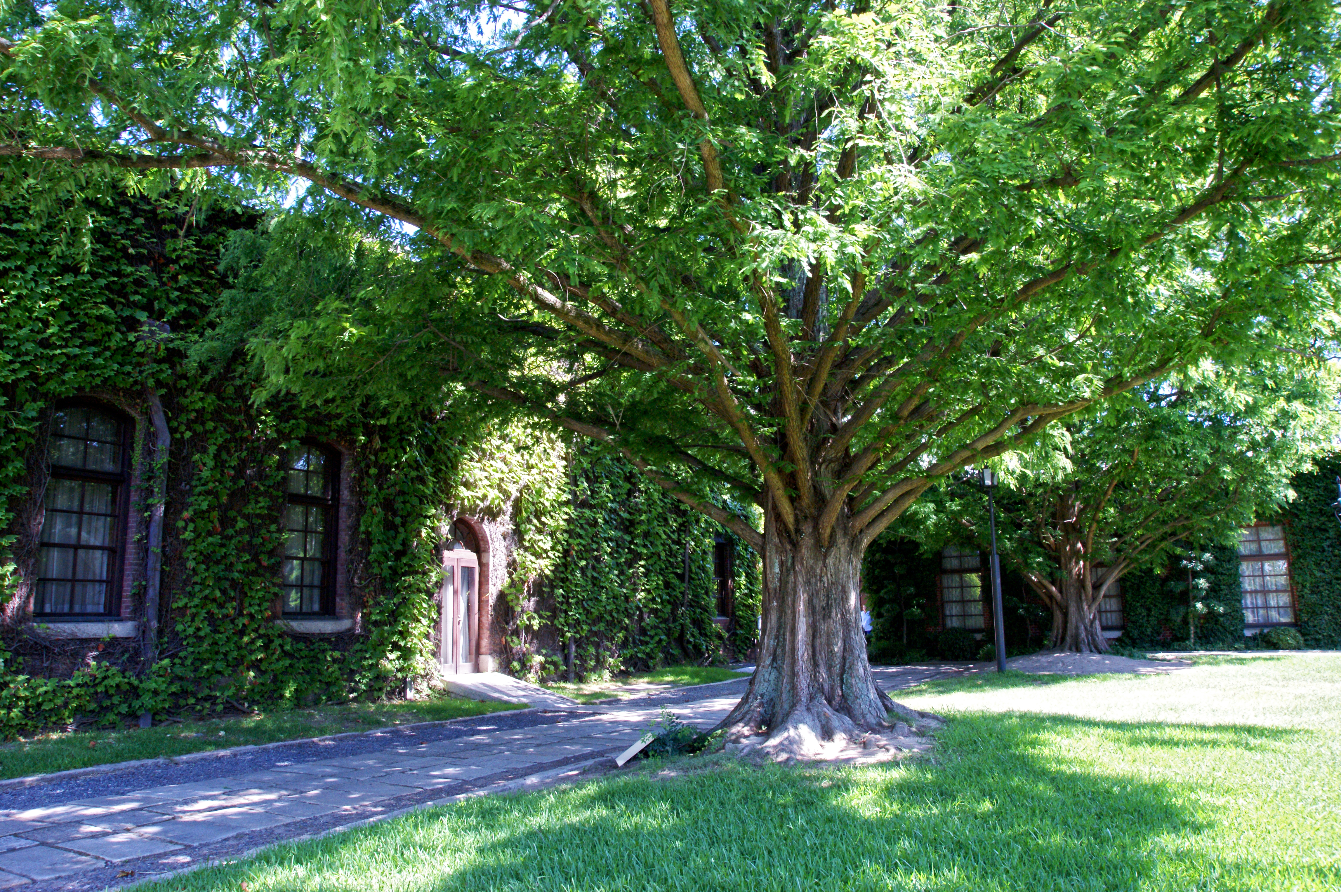 English: Kurashiki Ivy Square in Kurashiki, Ok...