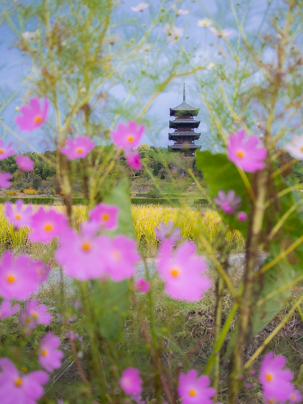 Bitchu Kokubunji in Okayama (photo: PhoTones_TAKUMA/flickr)