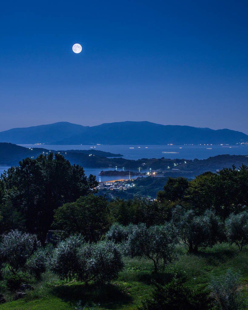 Okayama by moonlight