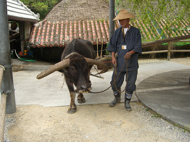 Ryuku Mura village at work (photo: navisan/flickr)