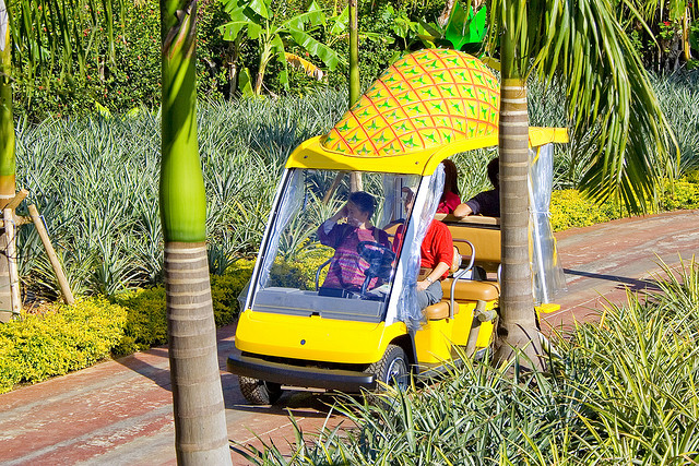 Nago Pineapple Park car (photoL butterforfilm/flickr)
