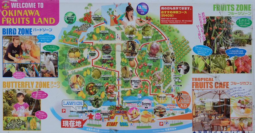 Okinawa Fruits Land Fruity Map