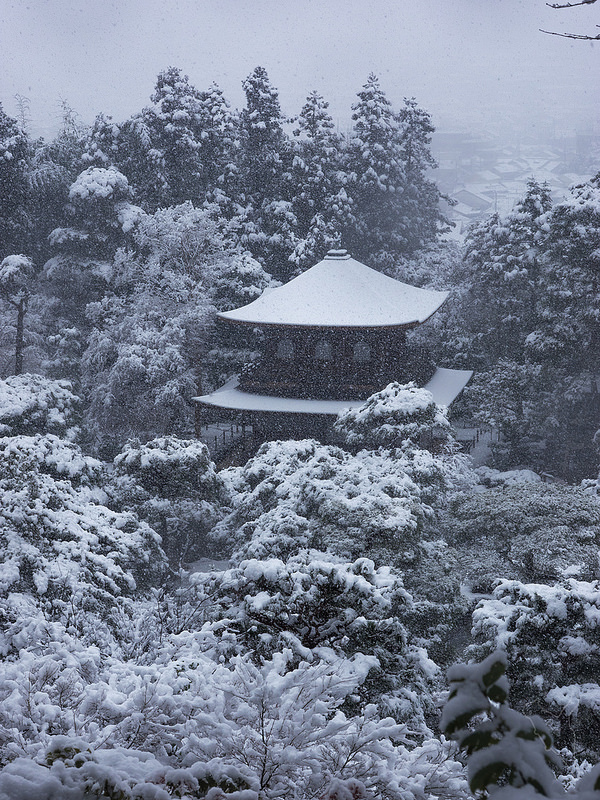 Feb 2014 Beautiful photo of Ginkaku-ji temple with falling snow (photo:  Norihiro Kataoka/flickr)