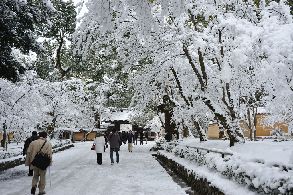 雪の金閣寺 Kinkakuji temple in snow