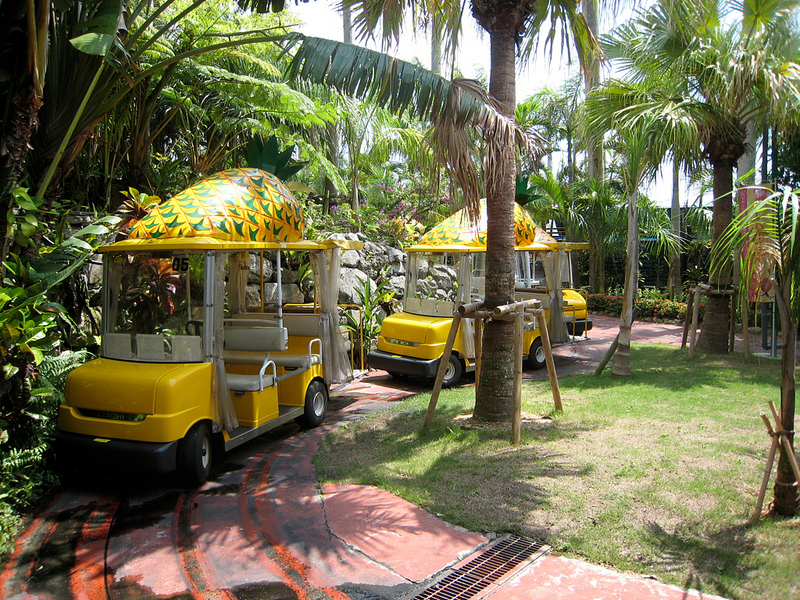 Nago Pineapple Park Sweet Ride (photo:  stillthinking_t/flickr)