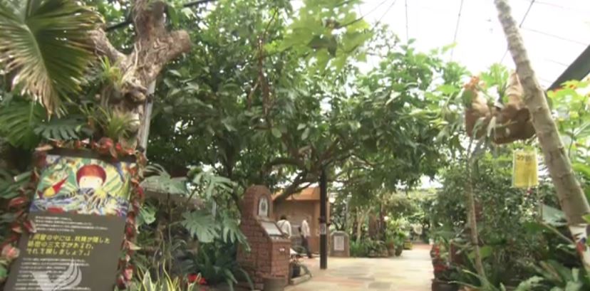 Okinawa Fruits Land Greenhouse