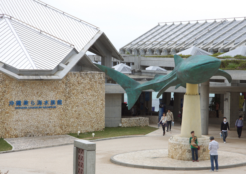 Okinawa Churaumi Aquarium