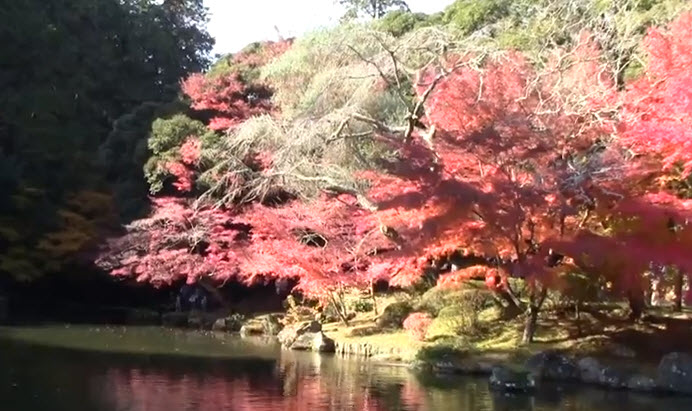 Naritisan Park in fall