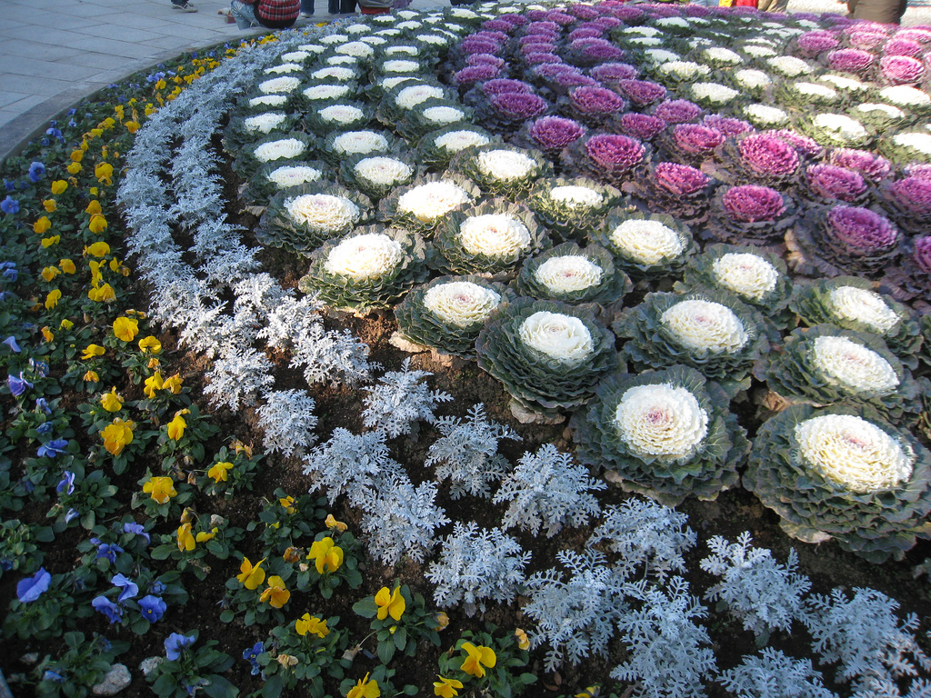 Naritasan Flower Planting