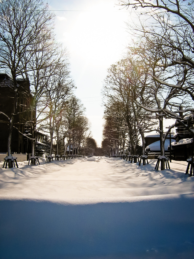 Historical Village of Hokkaido