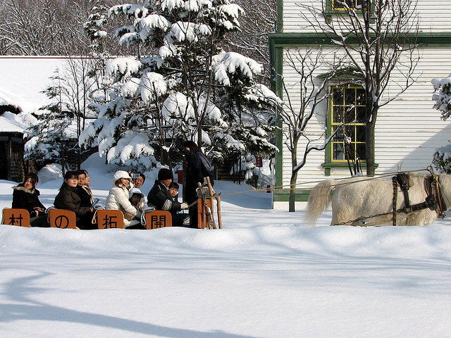 Historical Village of Hokkaido winter sleigh ride