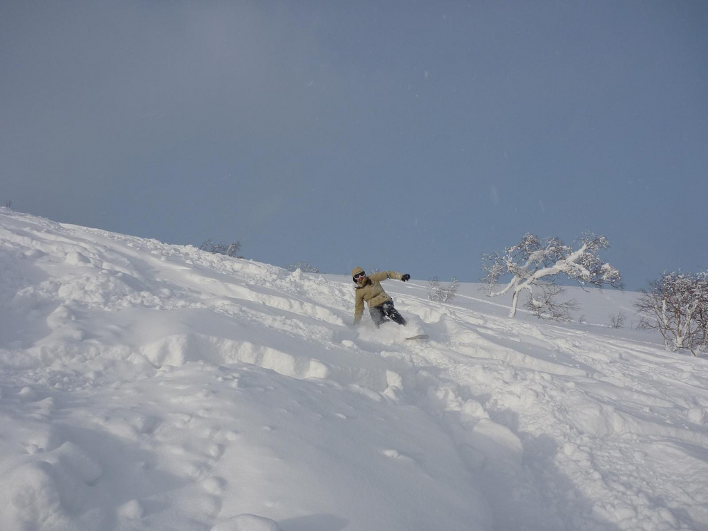 Niseko Snowboarding