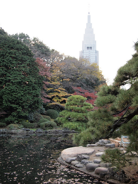 Shinjuku Gyoen fall foliage (photo: nakashi/flickr)