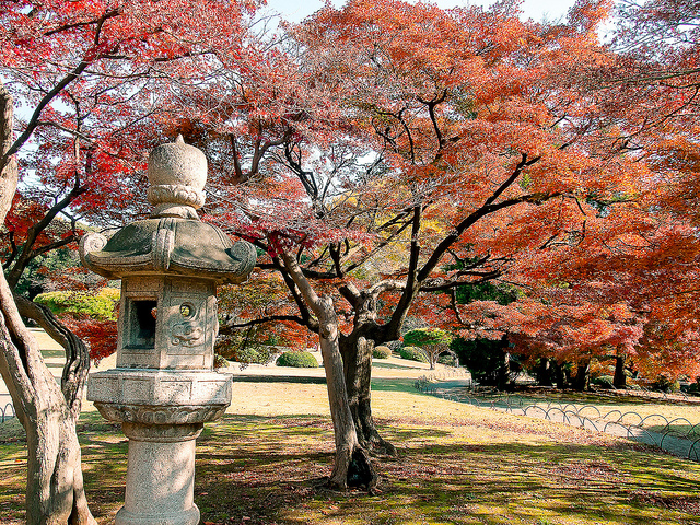 Shinjuku Gyoen in Autumn (photo: Atibordee Kongprepan/flickr)