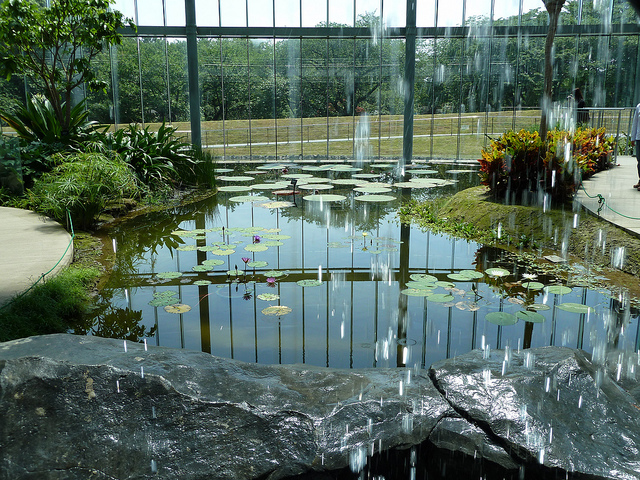 Shinjuku Gyoen Greenhouse (photo:  Rob Young/flickr)