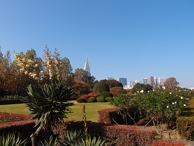 Shinjuku Gyoen autumn foliage (photo: Guilhem Vellut/flickr)