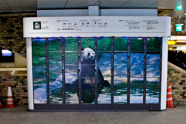 Shinjuku Station Panda Lockers (photo:  dalai_alana/flickr)
