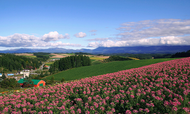 Hokkaido scenic view (photo:  B*_J/flickr)