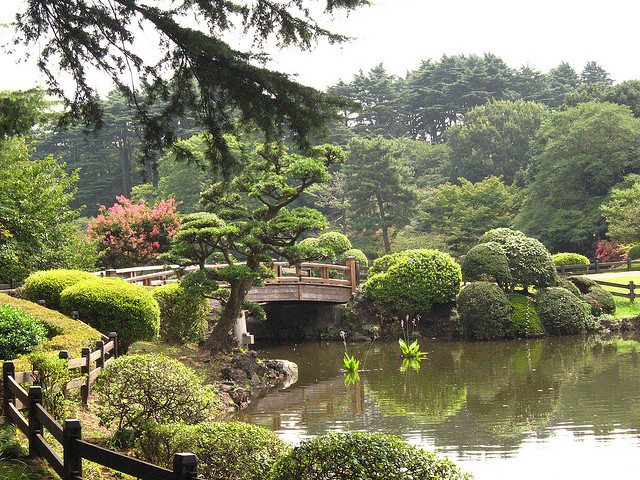 Shinjuku Gyoen pond and bridge (photo:  Marina De Vos/flickr)