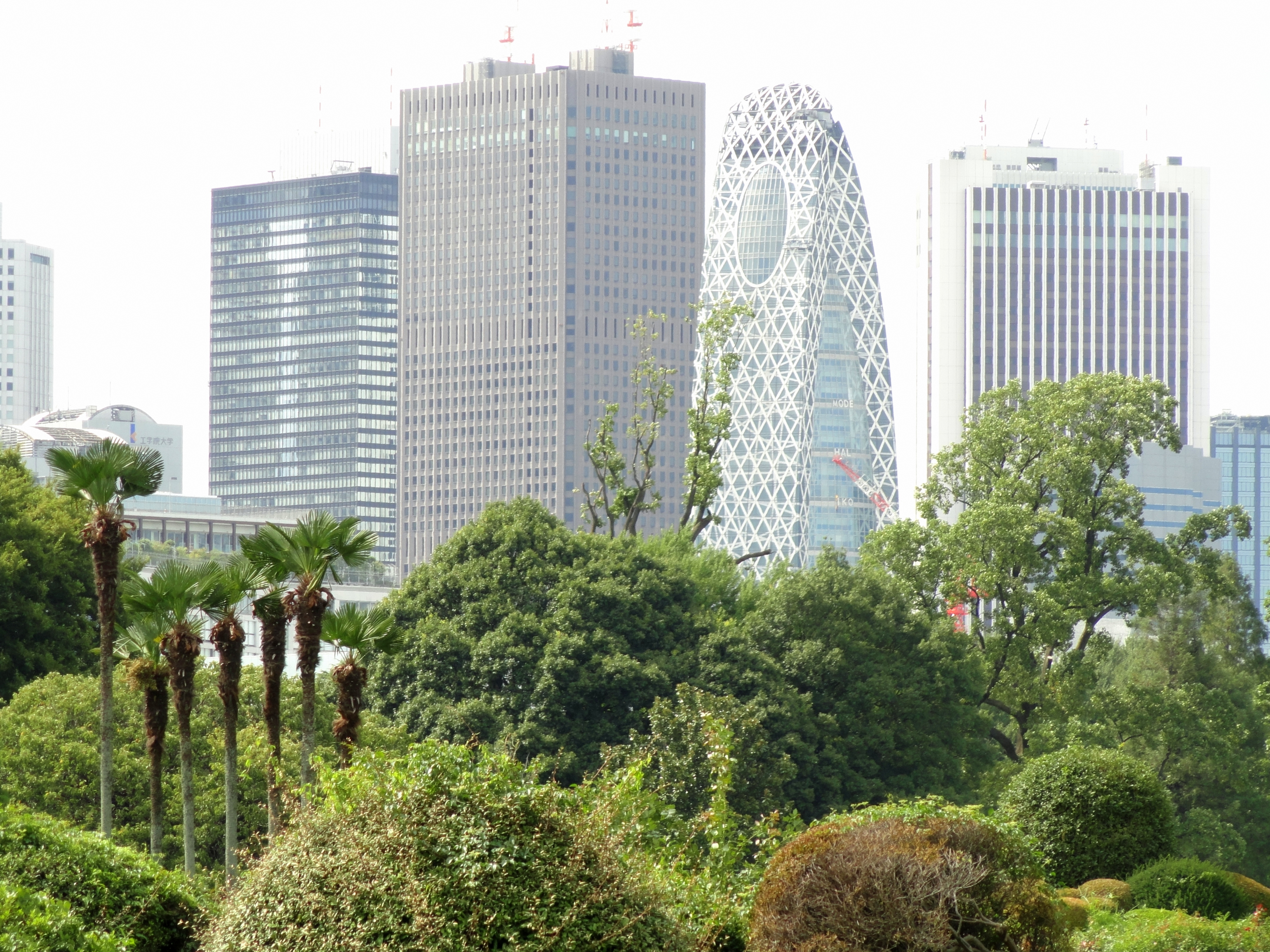 Shinjuku Gyoen National Garden, Shinjuku, Toky...