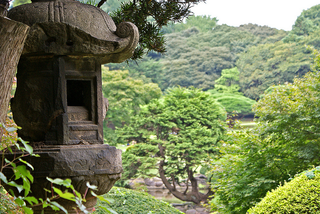 Shinjuku Gyoen beauty (photo: mouseshadows/flickr)