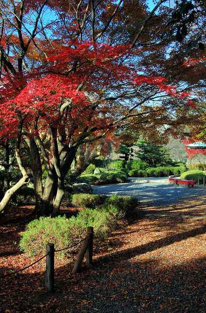 Nagoya Castle Path to Gardens (photo:  jpellgen/flickr)