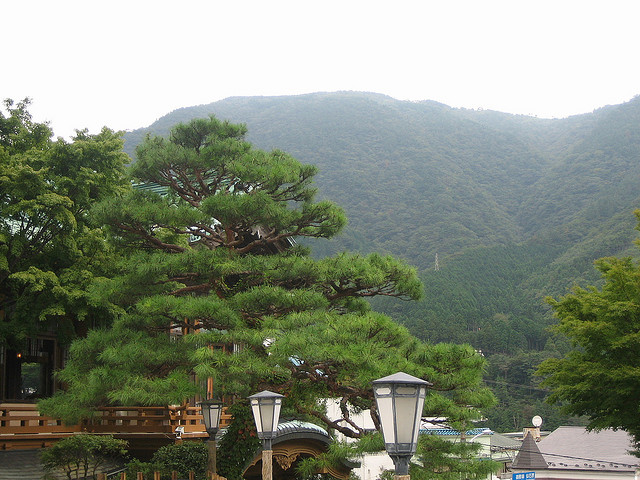 Fujiya Hotel in Hakone view (photo:  Kristjanath/flickr)