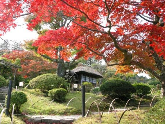 Fujiya Hotel in Hakone gardens
