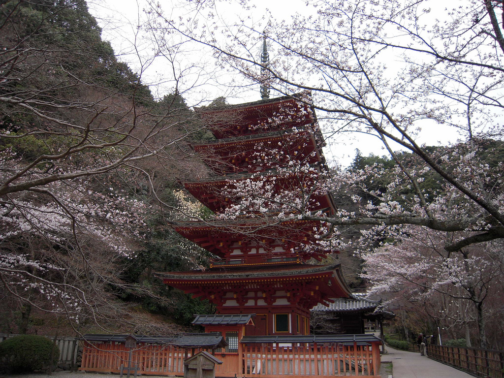 長谷寺 - Hase-dera in spring