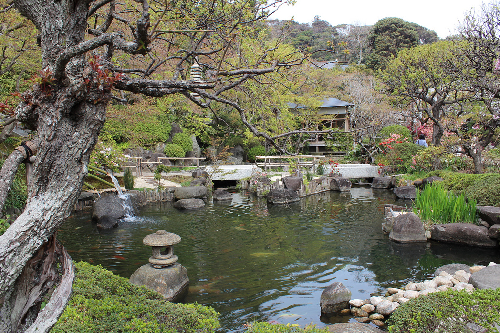 長谷寺 - Hase-dera pond and gardens