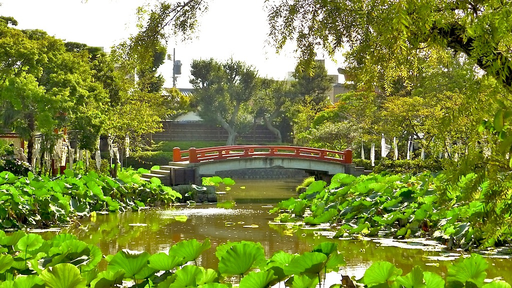 Lotus Pond At Tsurugaoka Hachimangu
