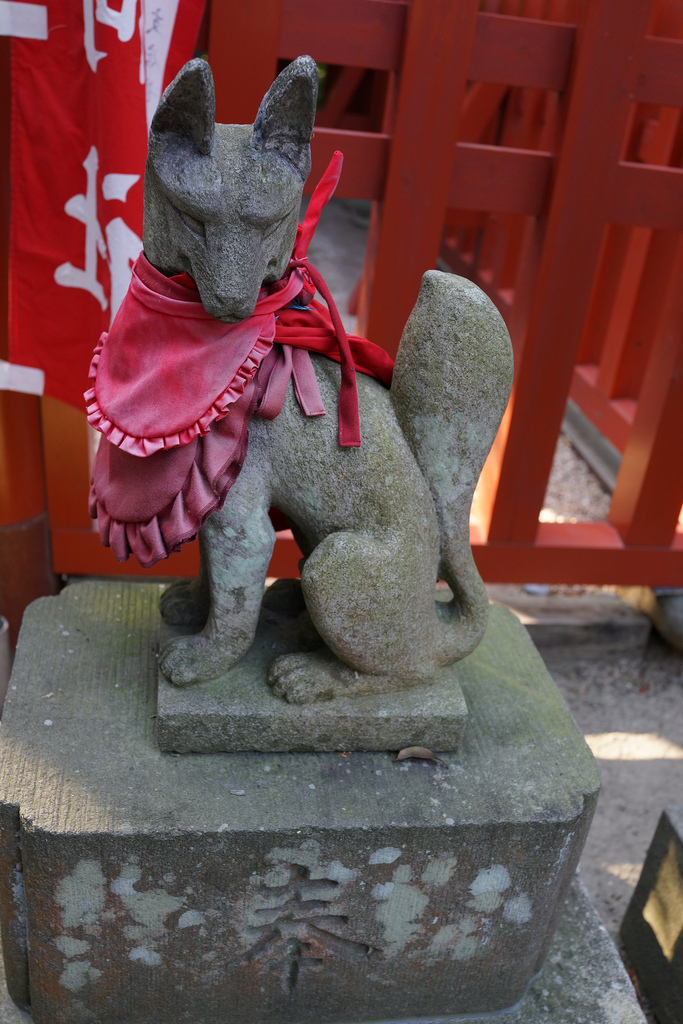 Inari Fox @ Kamakura