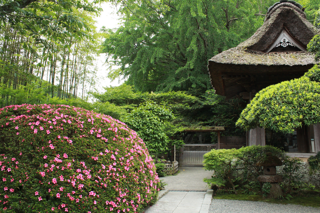 鎌倉 Kamakura