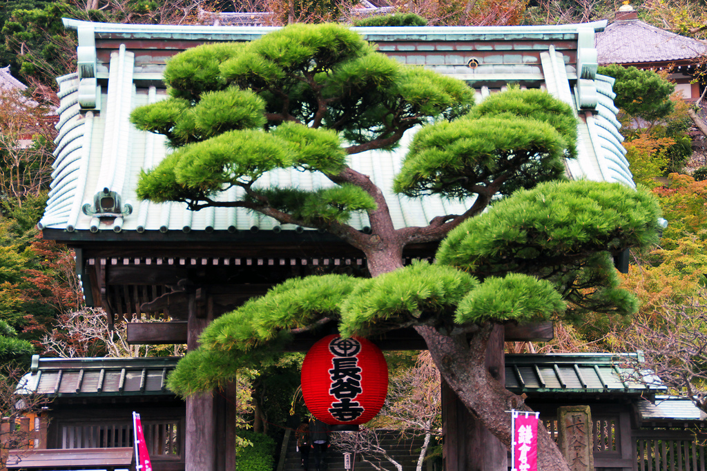 Hase Temple in Kamakura