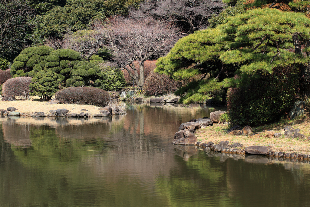 Japanese style garden / 日本庭園(にほんていえん)