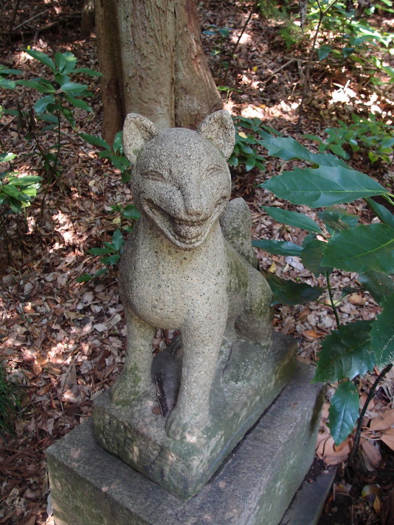 Koishikawa Botanical Gardens fox