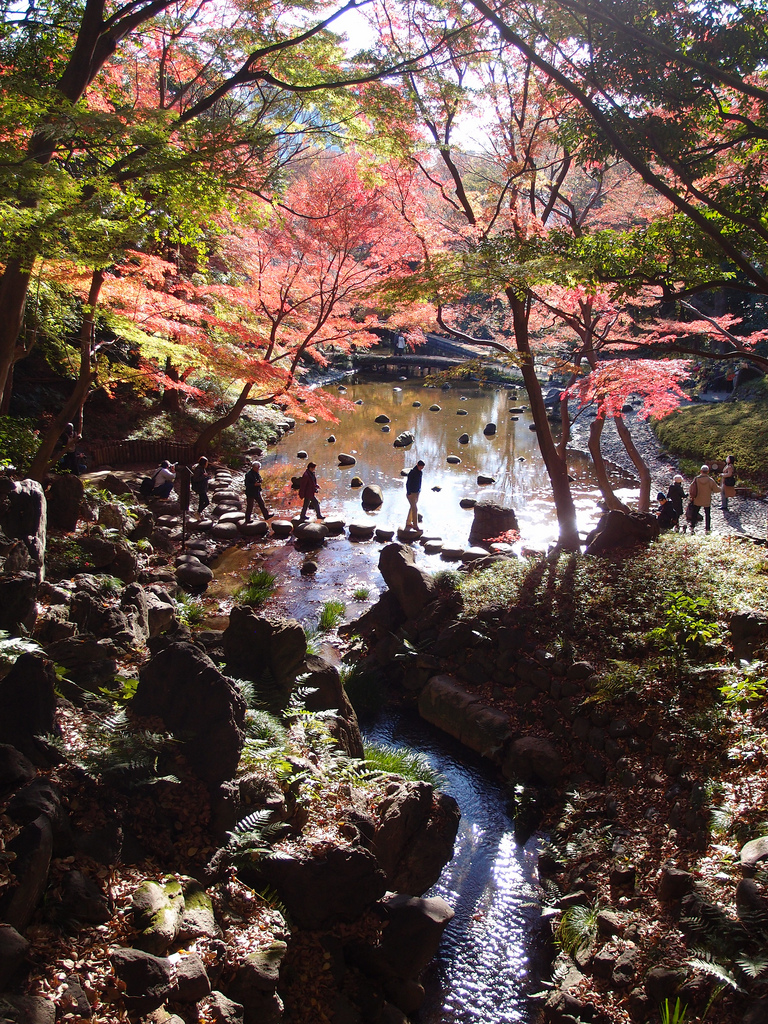 Koishikawa Korakuen Garden Fall Colours