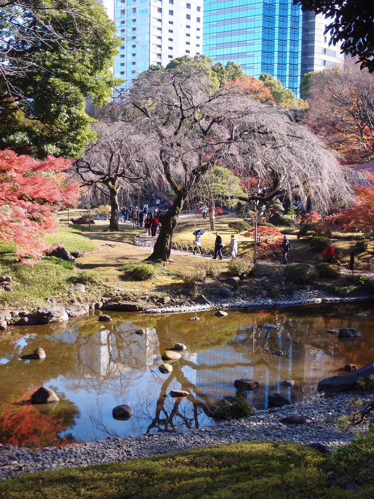 Koishikawa Korakuen Gardens in Autumn