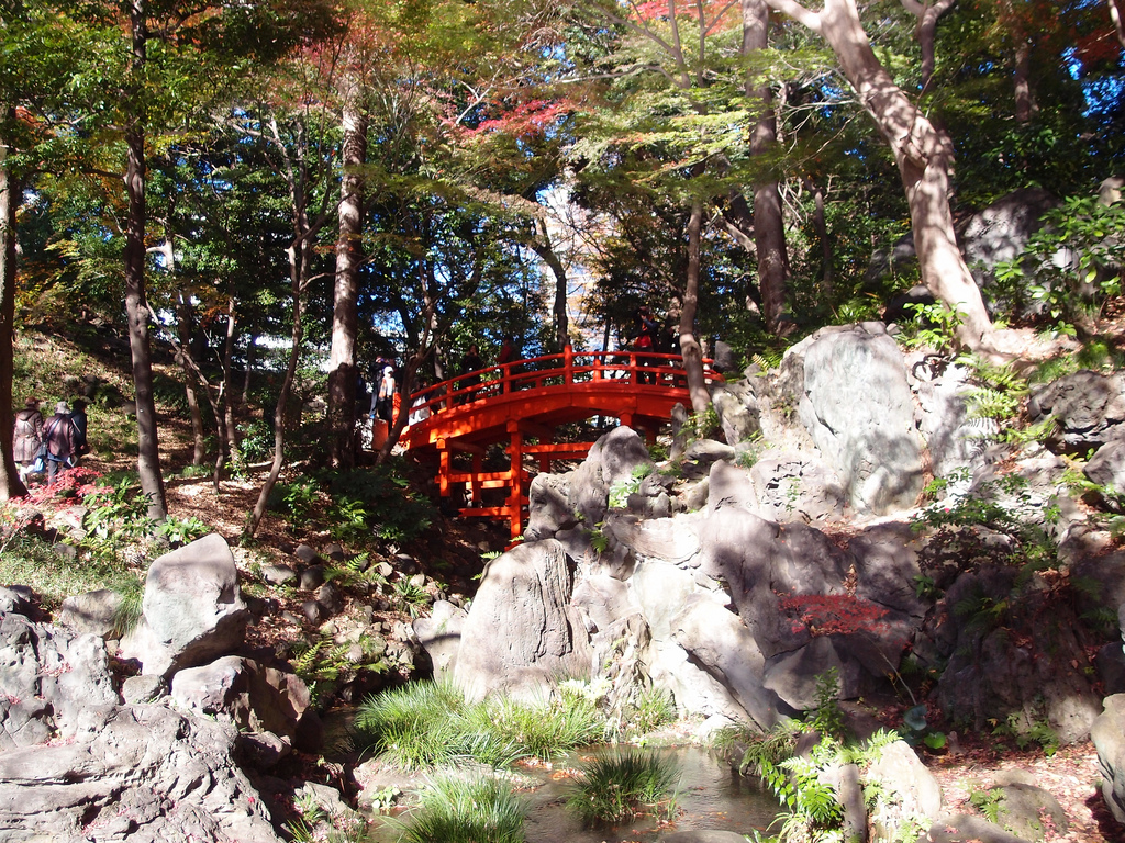 Koishikawa Korakuen Gardens Bridge in Autumn