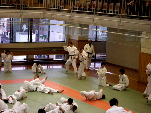 Kodokan Judo Institute