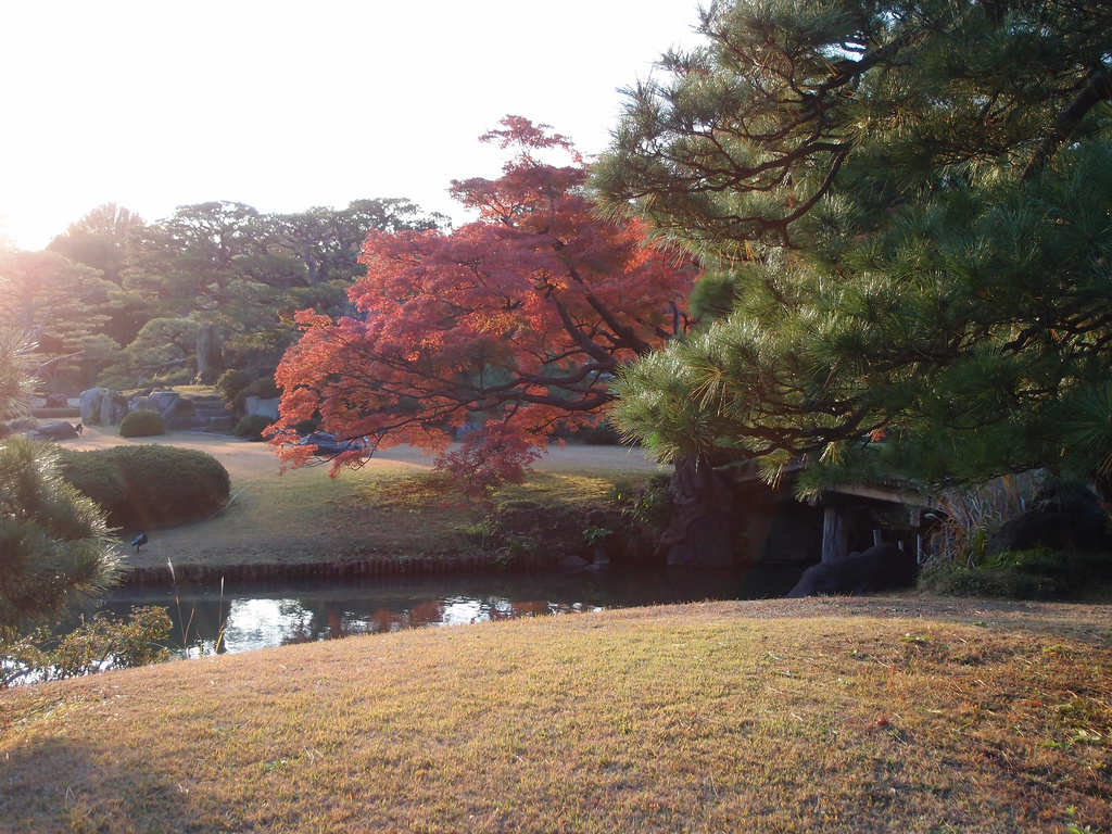 Rikugien Park fall colours