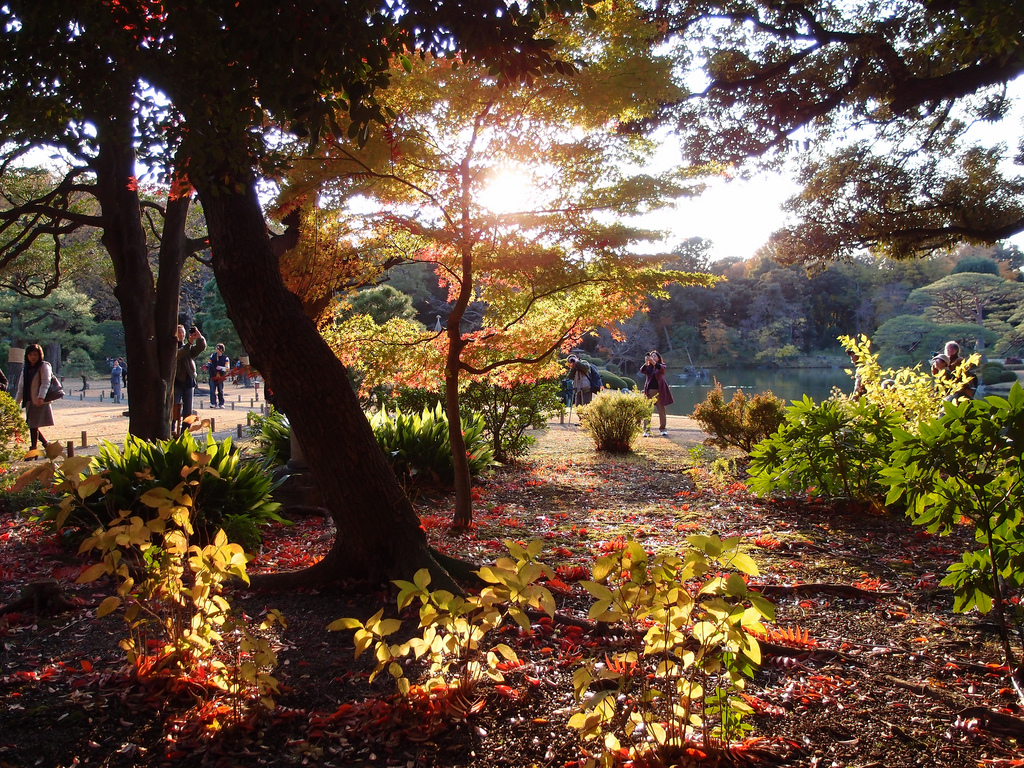 Rikugien Park beautiful autumn colours (photo: Guilhem Vellut/flickr)