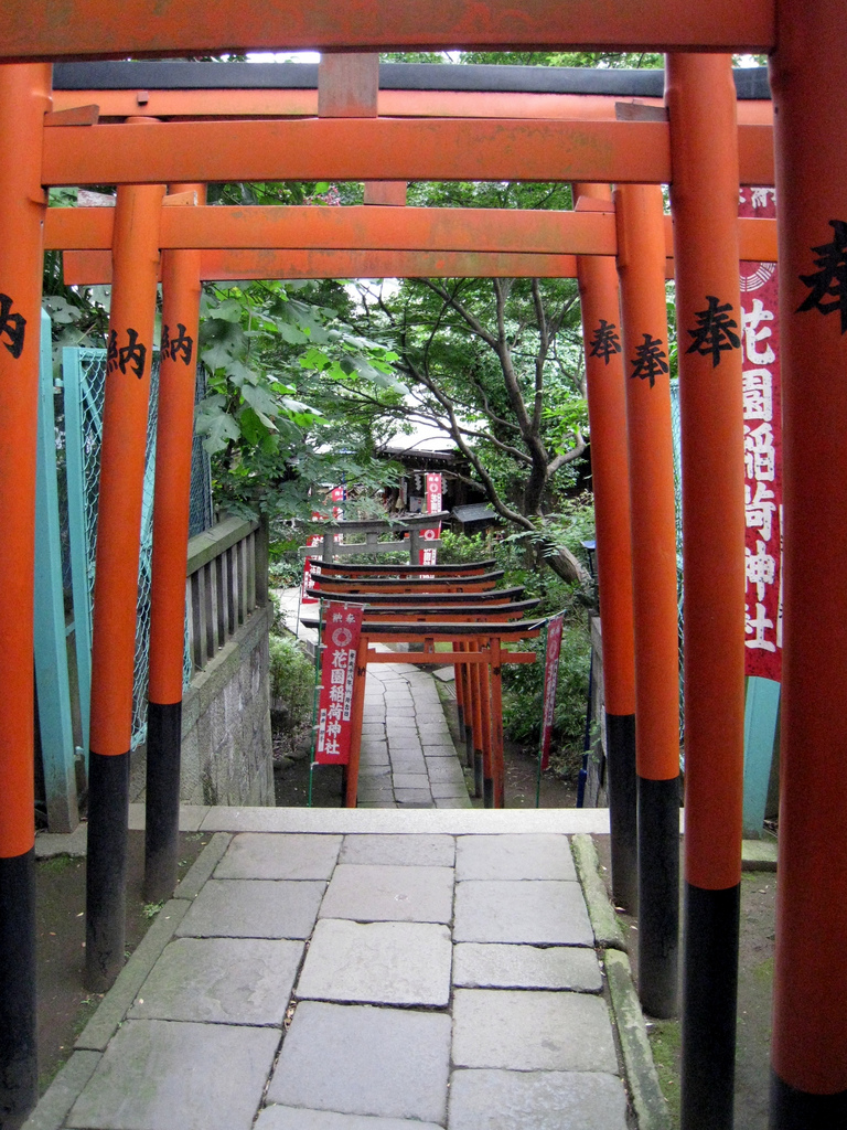 Ueno Park Torii descending