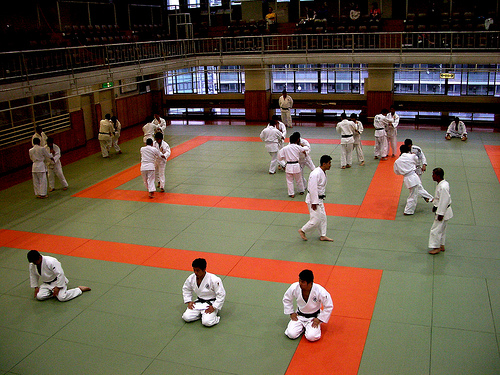 Kodokan Judo Institute