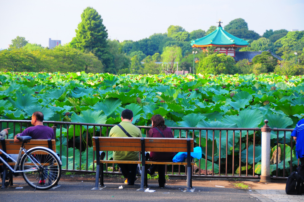 Kyu-Iwasaki-Tei Gardens