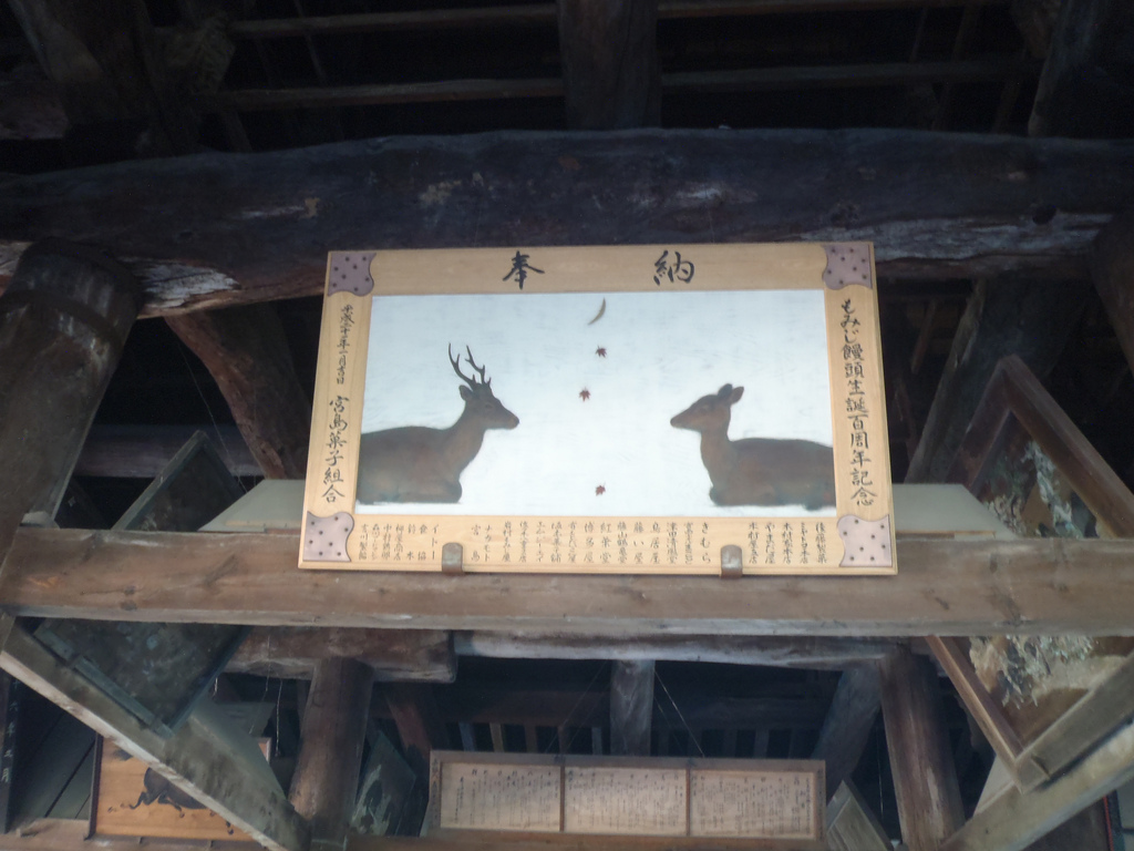 Miyajima sacred deer